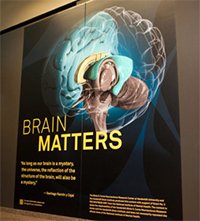 Brain Matters Image